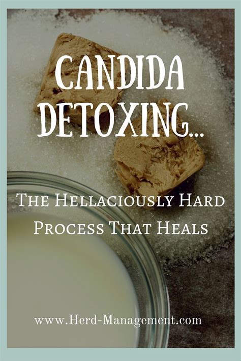 Learn How To Use Garlic To Eliminate Candida Yeast Infection In 2020