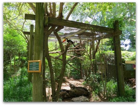 Greenville Zoo Everything You Need To Know For The Perfect Visit