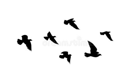 Flying Birds Silhouettes On White Background Vector Illustration