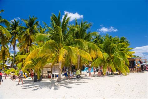 White Sand Beach With Cocos Palms Isla Mujeres Island Caribbean Sea
