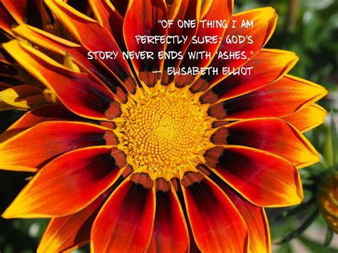 Weeds are flowers too, once you get to know them. Pin by Kelley Spence on Quotes-Stories-Poems- | Most ...