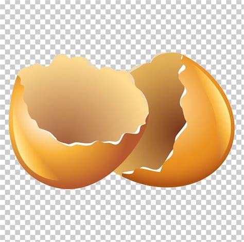 Egg Clipart Egg Shell Egg Egg Shell Transparent Free For Download On