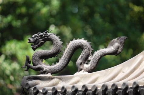 龍と竜の違いはある歴史から漢字の意味を分かりやすく解説 │雑学トレンディ