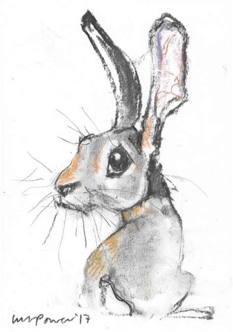 Hare 18 A4 Charcoal Hare Study 2017 Charcoal Drawing By Luci Power