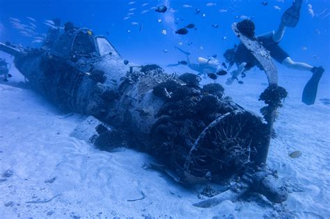 Oahu Diving 9 Must See Dive Sites