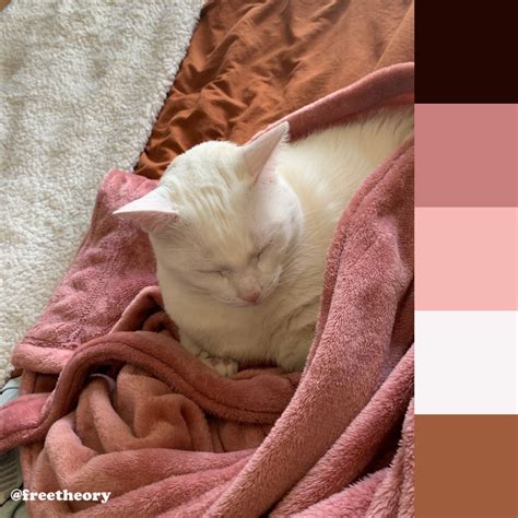 Cat Sleeping Color Palette In 2021 Color Palette Cat Sleeping Color
