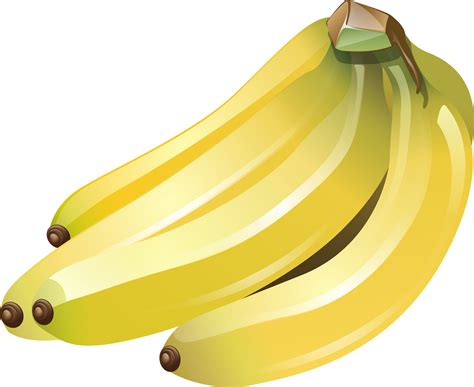 Many Bananas Png Image Transparent Image Download Size 3971x3248px