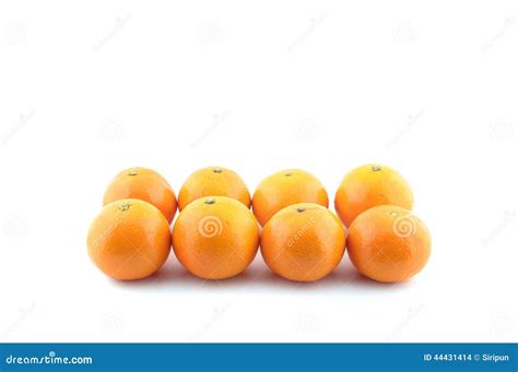 Number 8 Fresh Orange Stock Photo Image Of Fresh Background 44431414