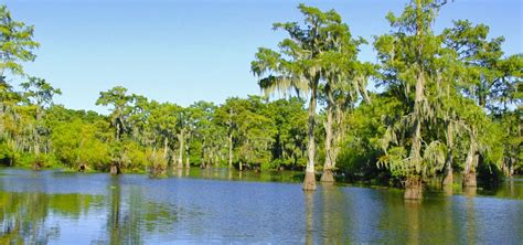 Whether you're looking for rustic or luxury accommodations, there are louisiana cabins and cottages for rent that will fit the bill. Mc Gee's Landing, America's Greatest Swamp Tour, airboat ...