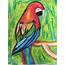 Parrot  Art Starts For Kids