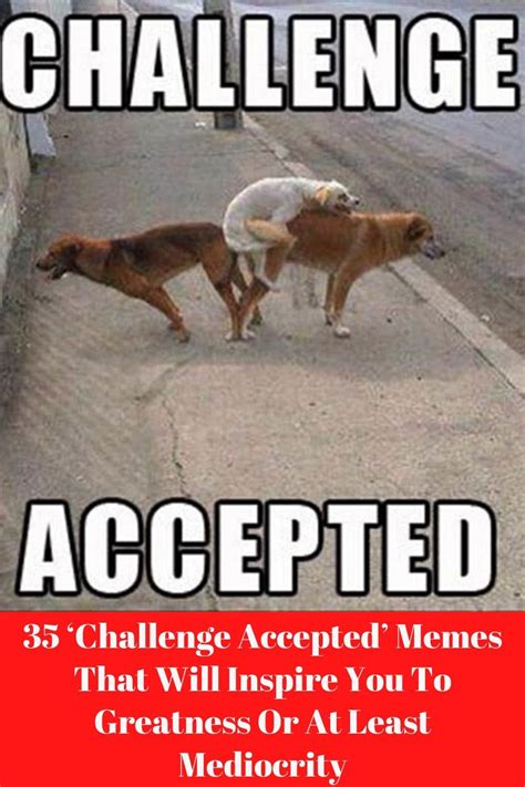 35 ‘challenge Accepted Memes That Will Inspire You To Greatness Or At