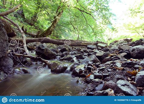 Mountain River In The Wood Forest With Waterfall Deep Rain Forest And