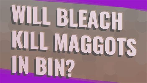 After letting the bleach do its work you then put a different tip and commence pressure cleaning using straight water. Will bleach kill maggots in bin? - YouTube