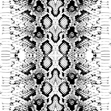 Snake Skin Pattern Illustrations Royalty Free Vector Graphics And Clip