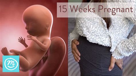 Weeks Pregnant What You Need To Know Channel Mum Youtube