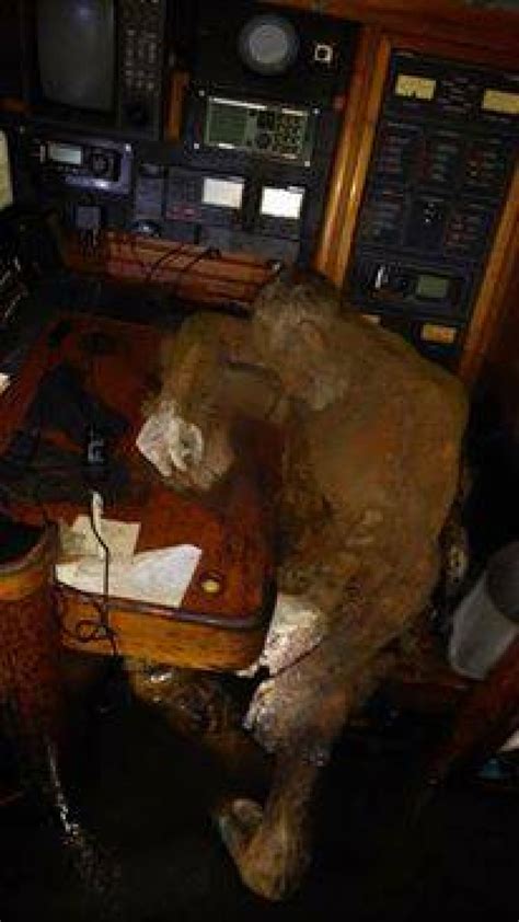 Mummified German Sailor Had Only Been Dead For A Week Mashable