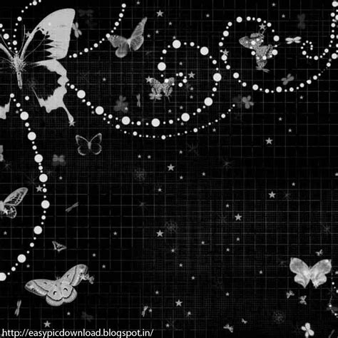 Free Download Black White Butterfly Wallpaper Easy Pic Download