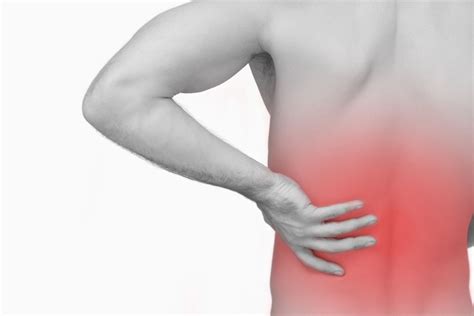 Do You Have To Endure Chronic Back Pain Myofit Clinic Physical