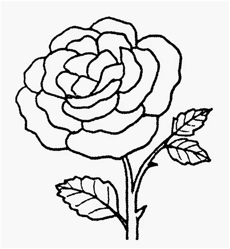 40 Gambar Bunga Mawar Kartun Hitam Putih Yang Wajib Diketahui