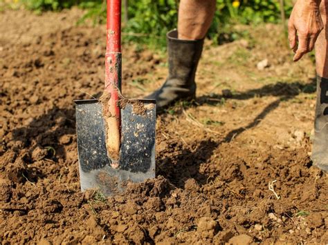 Amending Clay Soil Improving Clay Soil In Your Yard