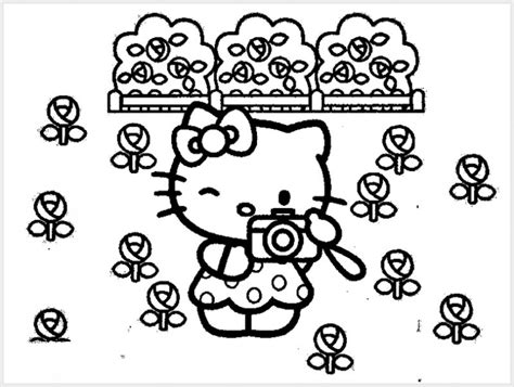 Sketsa Hello Kitty