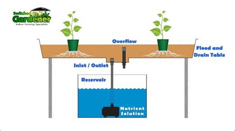 Hydroponic Flood And Drain Tutorial Ebb And Flow In 2021 Hydroponics