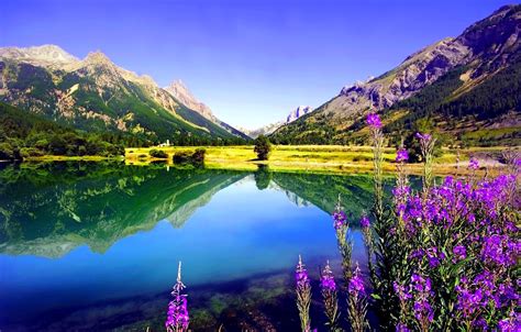 Wallpaper The Sky Flowers Mountains Lake Images For Desktop Section