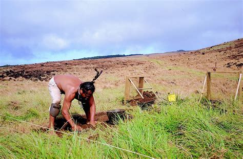 Alex Guerra Terra Arqueología De La Agricultura Prehistórica En Rapa Nui