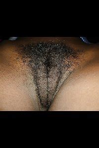 Black Hairy Pussy Pictures HAIRY ASS PUSSY I LIKE VOL 132