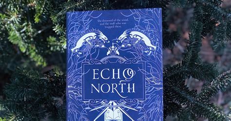 Heathers Reading Hideaway Book Review Echo North By Joanna Ruth Meyer