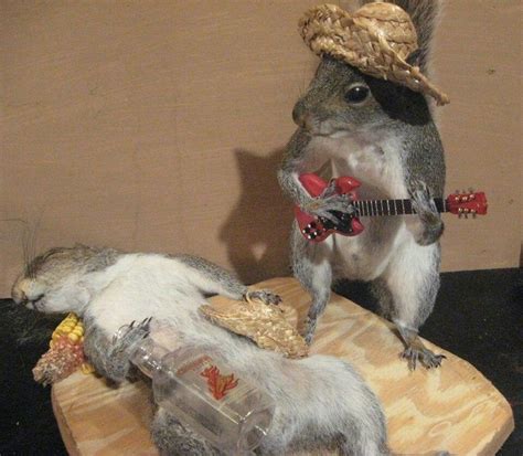 Drunken Squirrel Bad Taxidermy Taxidermy Funny Pictures