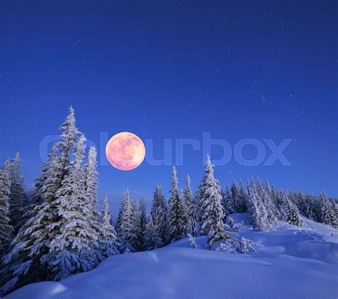 Full Moon In Winter Stock Image Colourbox