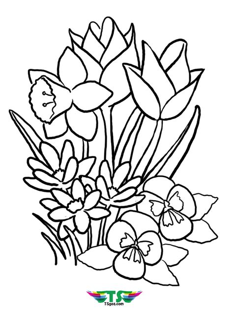 See fuzzy's fresh spring flowers coloring page! Free download to print beautiful spring flower coloring pages pictures - TSgos.com