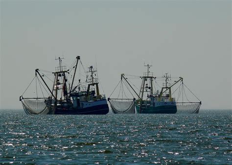 Cambio Climático Pone En Riesgo A La Pesca En México Industrias México