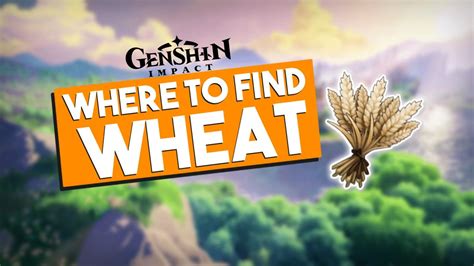 Genshin Impact Where To Find Wheat Gamezo