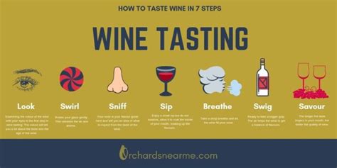 Wine Tasting Guide For Beginners Orchards Near Me