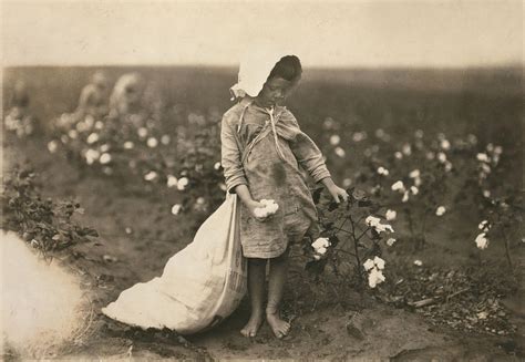 Child Labor A Young Girl Picking Photograph By Everett Fine Art America