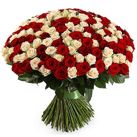Impressive Bouquet Of Roses Extra Large 100 Stems Buy In Vancouver