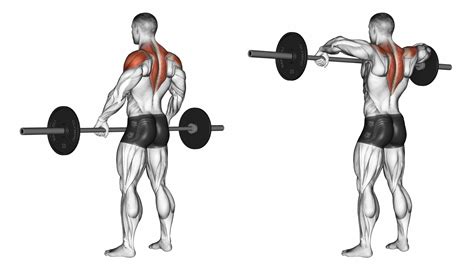 How To Do A Smith Machine Upright Row Nutritioneering