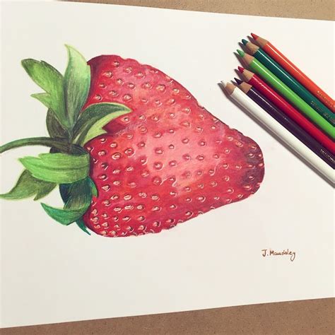 Realism Strawberry Drawing Colour Pencils Polychromos Bút Chì