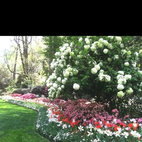 Experienced floral staff at service | call us to send flowers atlanta, ga : Amazing garden on Habersham Rd Atlanta, Ga. Always has a ...