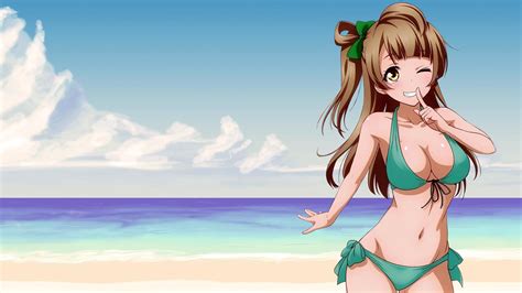 19 Anime Bikini Wallpapers Wallpaperboat