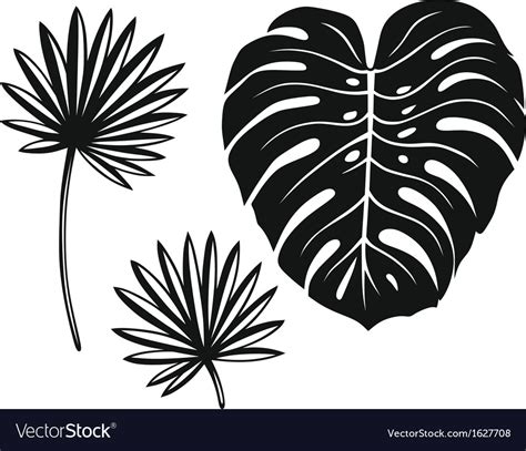 Set Of Palm Leaves Royalty Free Vector Image Vectorstock