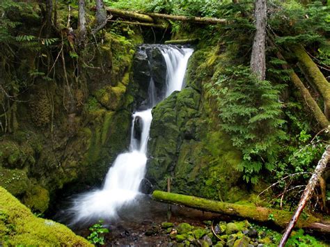 Lost Creek Falls Coos County Oregon Waterfalls Lost Creek Waterfall