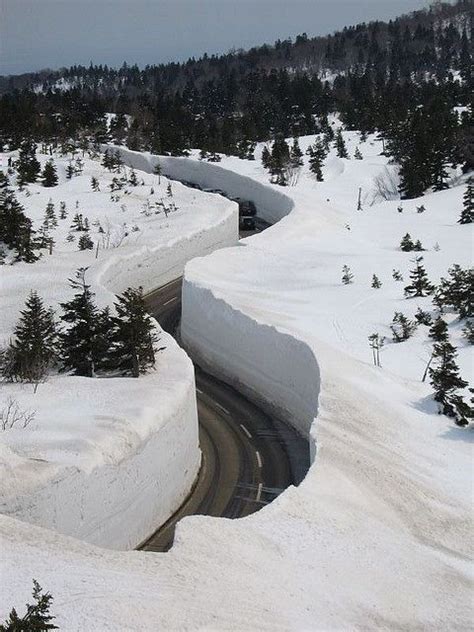 Giant Snow Walls On Hakkodawalk Japan By Mihai Japan