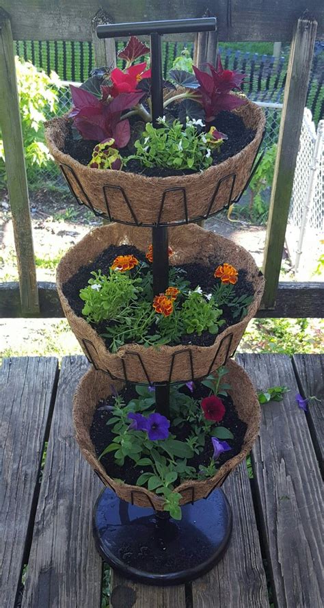 Three Tier Planter Used An Old Shoe Rack Bought From A