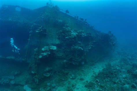 trip report palau wrecks caves and reefs wrecked in my revo