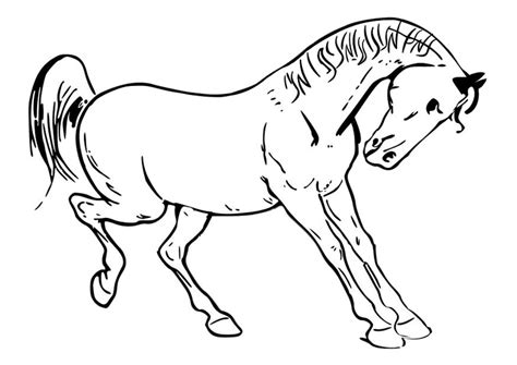 Jij bent heel lief geweest dit jaar. Kleurplaat paard. Gratis kleurplaten om te printen - afb ...