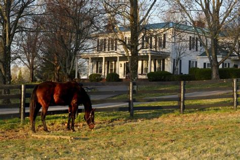 Horse Farm Tours Near Louisville Oldham County Ky Tourism