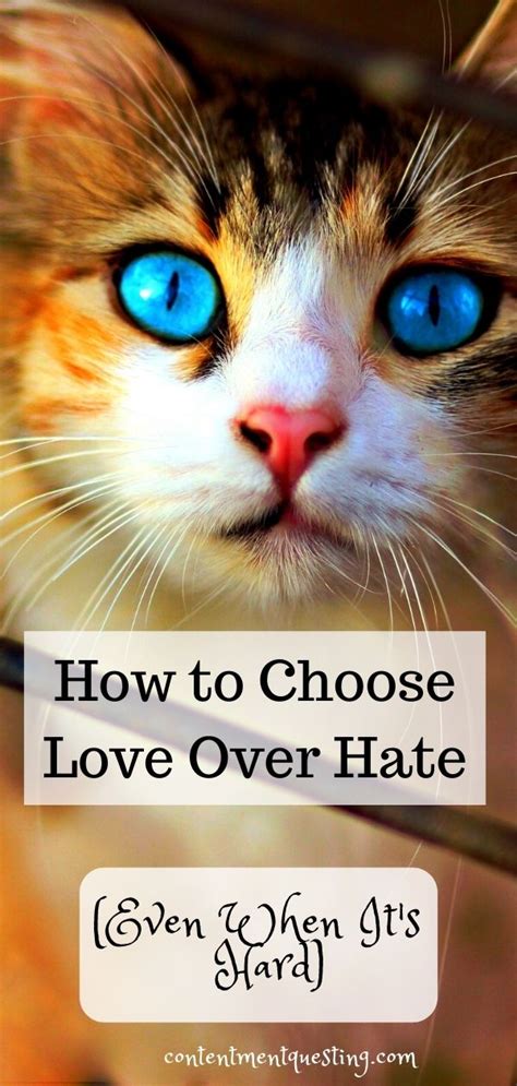 how to choose love over hate contentment questing